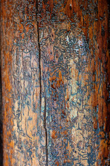 Retro background and texture, old tree beetle-eaten bark beetle. Red-brown background and texture. Copy space