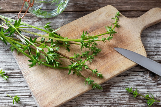 Fresh bedstraw plant on a cutting board