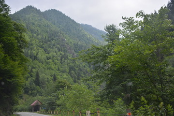 Georgia Svaneti 