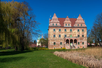 Fototapeta na wymiar Castle in Polska Cerekiew, Poland