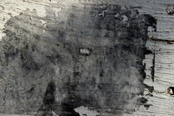 Fototapeta premium Wall Texture Grunge Background With A Lot Of Copy Space For Text. Abstract Texture Background, Gray Colors. Abstract Painted Background. Gray Wooden Texture.