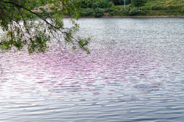 PANTANO ARENAS DE SAN PEDRO DETALLES PASEO