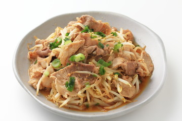 豚肉ともやしの炒め物