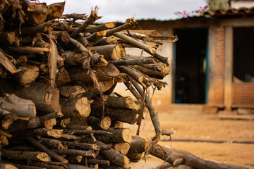 Local Farm in Oaxaca Mexico