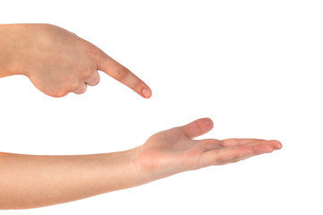 Beautiful woman's hand, palm up. Isolated on white background