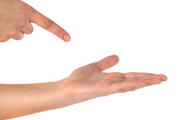 Beautiful woman's hand, palm up. Isolated on white background