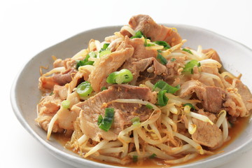 豚肉ともやしの炒め物