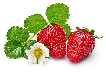 Strawberries with green leaf and flowers, isolated on white background.