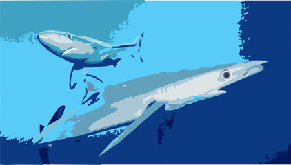 Fototapeta premium JAWS_PRINT_RONNIE_00001