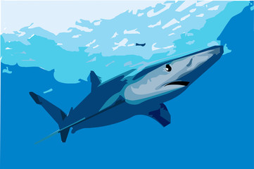 Obraz premium JAWS_PRINT_RONNIE_00002