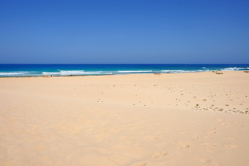 Sand Dunes and beach in National Park Corralejo, Fuerteventura.