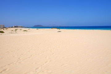 Fototapeta na wymiar Sand Dunes and beach in National Park Corralejo, Fuerteventura.