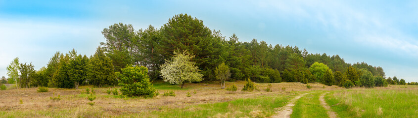 Obraz premium Spring views of Belarus