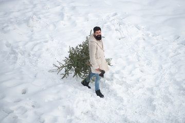 Fototapeta na wymiar Man is going to cut a Christmas tree. Bearded man is carrying Christmas tree in the wood. Theme Christmas holidays winter new year. Modern Santa. New year party.