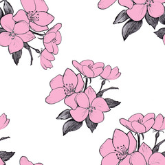 Hand drawn pattern seamless pink apple flowers on white background.