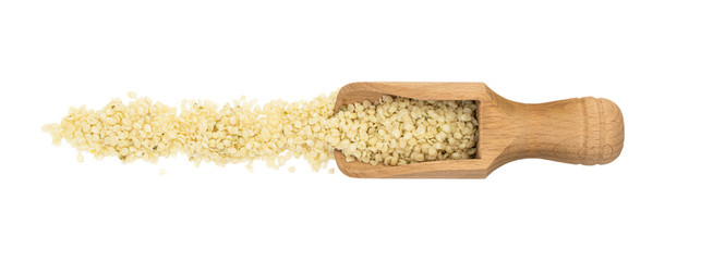 Shelled or peeled hemp seeds on a wooden spoon or scoop making a line seen directly from above and isolated on white background