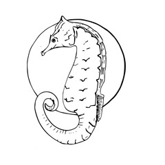  portret seahorse in a circle design idea © Юлия