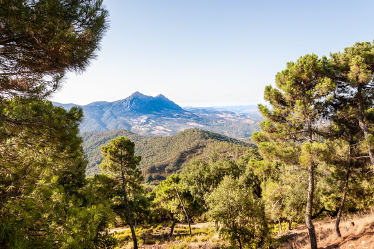 Estepona's mountain view