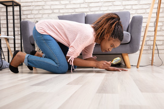 Woman Looking At Hardwood Floor Through Magnifying Glass
