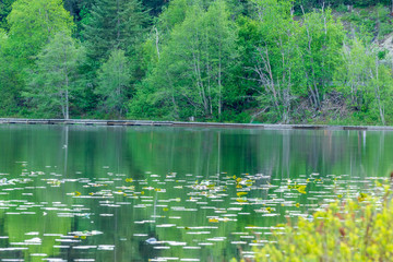 Mountain Lake in British Columbia, Canada.