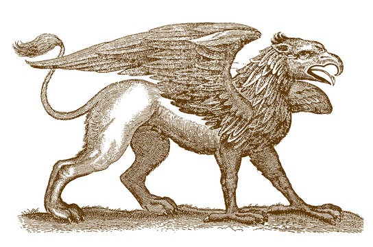 Legendary Mythical Hybrid Creature Griffin Gryphon, Spreading Wings, After Antique Engraving From 17th Century