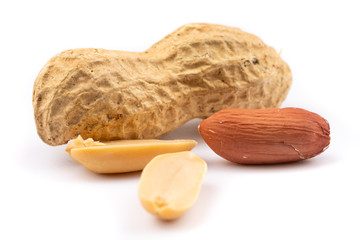 dried  peanuts with shell on white background