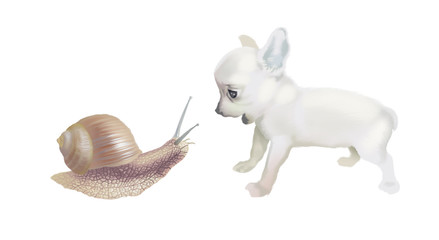 puppy with snail dog animal surprise