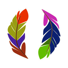 Vector drawing with colorful feathers.