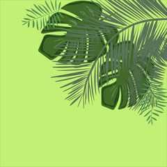 Vector frame with tropical leaves.