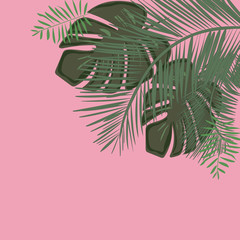 Vector frame with tropical leaves.