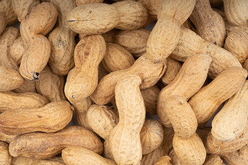 dried  peanuts with shell on white background
