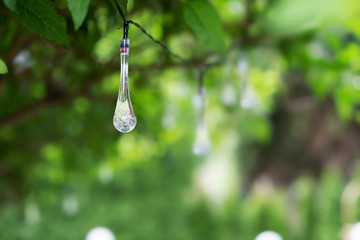 LED lighting in a droplet shape hanging in a green bush.