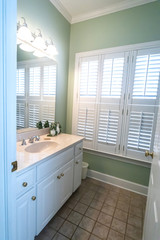 Light Green Jack and Jill Bathroom in a Suburban Home