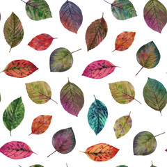 Seamless watercolor flowers pattern. Hand painted colorful flowers. Flower pattern for design. Seamless floral pattern. Drawn flowers for packaging, wallpaper, fabric.