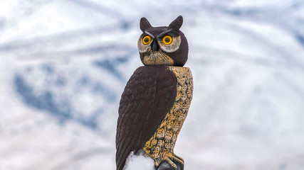 Clear Panorama Snowy roof of a building with an owl sculpture on top viewed in winter