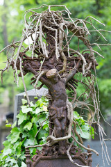 Historic Jesus on the mystery old Prague Cemetery, Czech Republic
