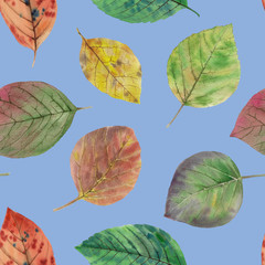 Seamless watercolor flowers pattern. Hand painted colorful flowers. Flower pattern for design. Seamless floral pattern. Drawn flowers for packaging, wallpaper, fabric.