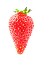 Red strawberry isolated on white background, close up view