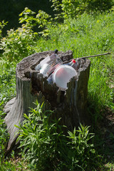 People littering polluting our planet Earth, start recycling.