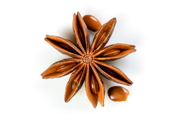 Star anise. Single star anise fruit with seeds. Macro close up Isolated on white background with shadow, top view of chinese badiane spice or Illicium verum.