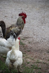 Photo of my stay in France