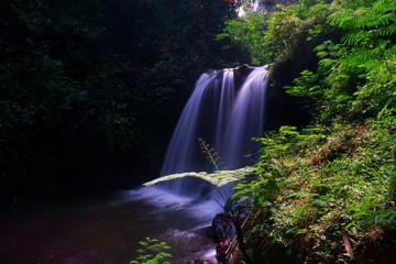 waterfall in forest