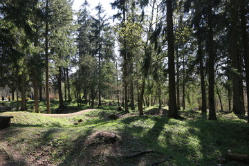 VERDUN