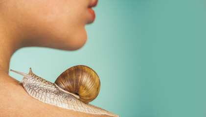 Skin care. Massage with snail. Skincare repairing. Healing mucus. Having fun with adorable snail. Spa and wellness. Cosmetics and snail mucus. Cosmetology beauty procedure. Girl and cute snail © Volodymyr