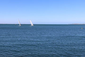 Sailing yachts in Port Phillip Bay at the Geelong waterfront