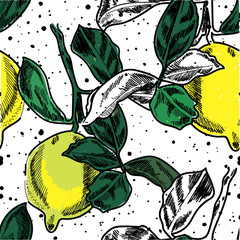 Fototapety  Seamless pattern with lemons. Drawing by hand in vintage style.