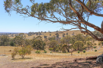 rural Australian view towards Sutton Grange valley in Central Victoria, Australia on a sunny day