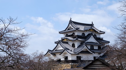 Hikone castle in japan