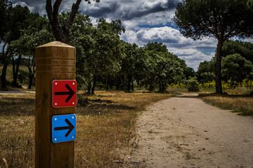 Dehesa de Navalcarbón. Las Rozas de Madrid, Madrid, España.