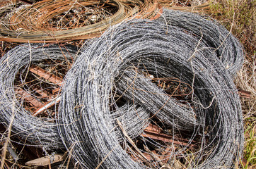 Coils of barbed wire in the rubbish